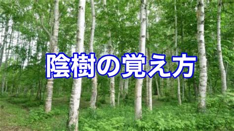 陽樹種類|陰樹の特徴と陽樹の特徴 違いも解説 – 庭師の独り言